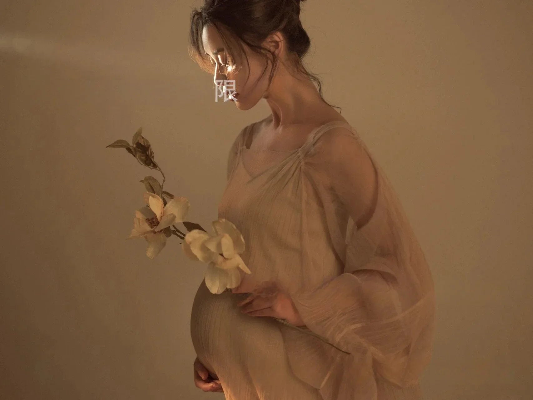 MQTIME  -  Women Photography Props Perspective Elegant Maternity Dresses Beige Mesh Pregnancy Dress Studio Shooting Photo Props