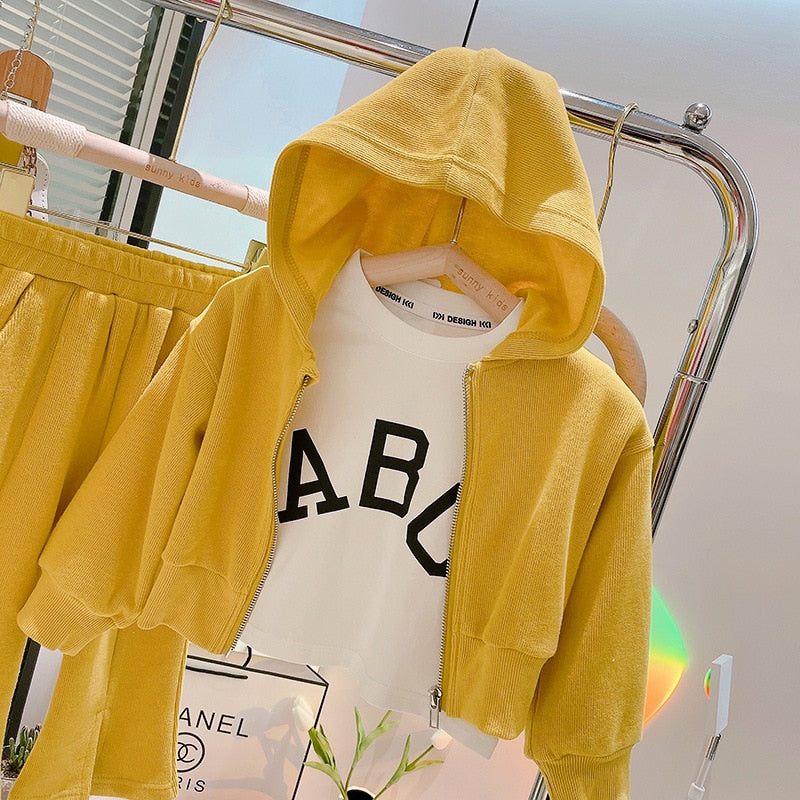 3pcs Children Girls Clothing Sets Kids Baby New Spring Autumn Sport Suit Girls Hooded Coat Tracksuit Outfits Sets for 2-8 yrs