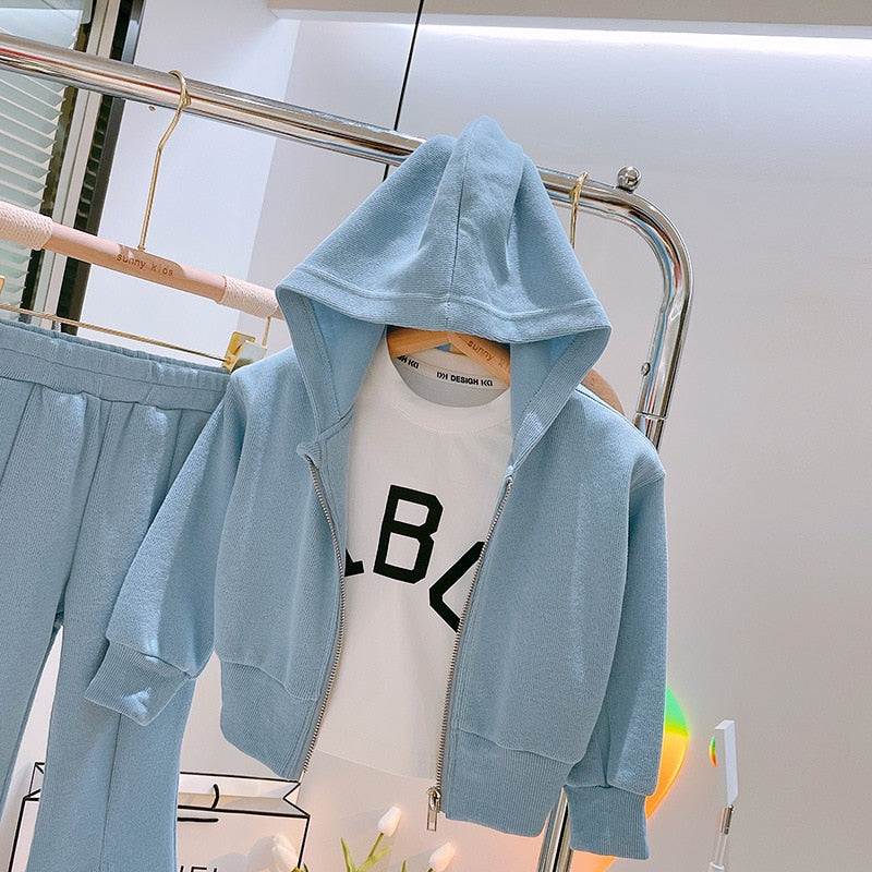 3pcs Children Girls Clothing Sets Kids Baby New Spring Autumn Sport Suit Girls Hooded Coat Tracksuit Outfits Sets for 2-8 yrs