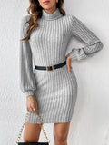 MQTIME  -  Turtleneck Long Sleeve Mini Dress