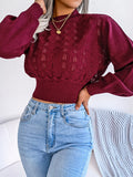 MQTIME  -  Openwork Mock Neck Long Sleeve Cropped Sweater