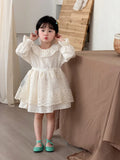 MQTIME  -  New Spring Baby Girls Princess Dresses Ruffles Lace Ball Gown Toddlers Kids Birthday Party Dress