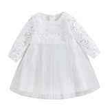 MQTIME  -  0-4Y Toddler Kids Girl Fall Princess Dress Lace Floral Embroidery Long Sleeve Round Neck Tulle Patchwork Tutu Dress