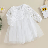 MQTIME  -  0-4Y Toddler Kids Girl Fall Princess Dress Lace Floral Embroidery Long Sleeve Round Neck Tulle Patchwork Tutu Dress