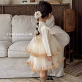  MQTIME  -  Girls Tulle Dress New Children Layers Mesh Gown Kids Autumn Spring Long Sleeve Dresses Princess Birthday Party Clothing 2-10Y