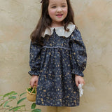 MQTIME  -   Spring Girls' Clothing 2-8Y Embroidered Lace Collar Floral Dress for Girls Children's Puff Sleeve Princess Dress