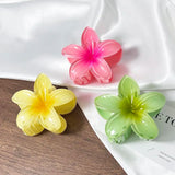 MQTIME  -  3pcs/set Fashion Gradient Flower Shark Claw Elegant Acrylic Large Hair Clip Crab For Women Ponytail Hair Accessories Beach Clamp