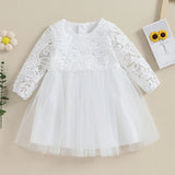 MQTIME  -  0-4Y Toddler Kids Girl Fall Princess Dress Lace Floral Embroidery Long Sleeve Round Neck Tulle Patchwork Tutu Dress
