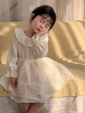 MQTIME  -  New Spring Baby Girls Princess Dresses Ruffles Lace Ball Gown Toddlers Kids Birthday Party Dress