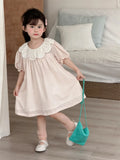  MQTIME  -  New Summer Baby Girls Pink Princess Dresses Puff Sleeve Lace Embroidery Toddlers Kids Casual Dress