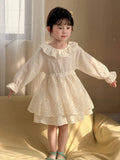 MQTIME  -  New Spring Baby Girls Princess Dresses Ruffles Lace Ball Gown Toddlers Kids Birthday Party Dress