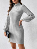 MQTIME  -  Turtleneck Long Sleeve Mini Dress