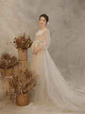 Photography Props Maternity Dresses for Photo Shoots Pregnancy Pregnant Mesh Perspective Korean Dress Studio Photo Prop