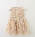 Lace Baby Girl Dress 2022 Summer Sleeveless Princess dress Kids Clothes 2-6Y LT026