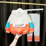 2-Pce Suit Girls Suits Spring Baby Boys Cotton Clothing Set Child Hooded Zipper Long Sleeve Top + Pants Casual Kids Clothes 1-4Y