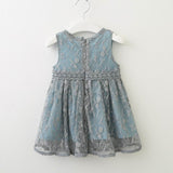 Lace Baby Girl Dress 2022 Summer Sleeveless Princess dress Kids Clothes 2-6Y LT026