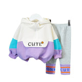 2-Pce Suit Girls Suits Spring Baby Boys Cotton Clothing Set Child Hooded Zipper Long Sleeve Top + Pants Casual Kids Clothes 1-4Y