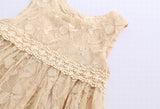 Lace Baby Girl Dress 2022 Summer Sleeveless Princess dress Kids Clothes 2-6Y LT026