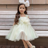 Baby Girl Princess Tulle Strap Tutu Dress Flower Infant Toddler Child Summer Vestido Party Birthday Pageant Baby Clothes 1-12Y