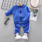 New Spring Autumn Baby Fashion Clothes Kid Boys Girls T Shirt Pants 2Pcs/sets Children Infant Clothing Toddler Cotton Sportswear