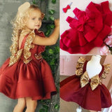 Mqtime Flower girl baby birthday Party Prom Sequin princess dress girl baby lace Sequin mesh puff dress vestidos de fiesta